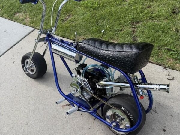 VOLTS GTS Custom Mini Bike — Fully Built 212 Chrome Forks
